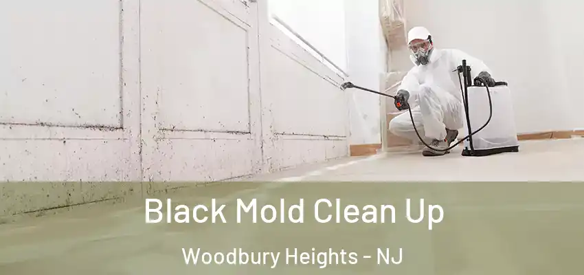 Black Mold Clean Up Woodbury Heights - NJ