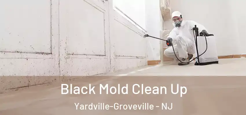  Black Mold Clean Up Yardville-Groveville - NJ