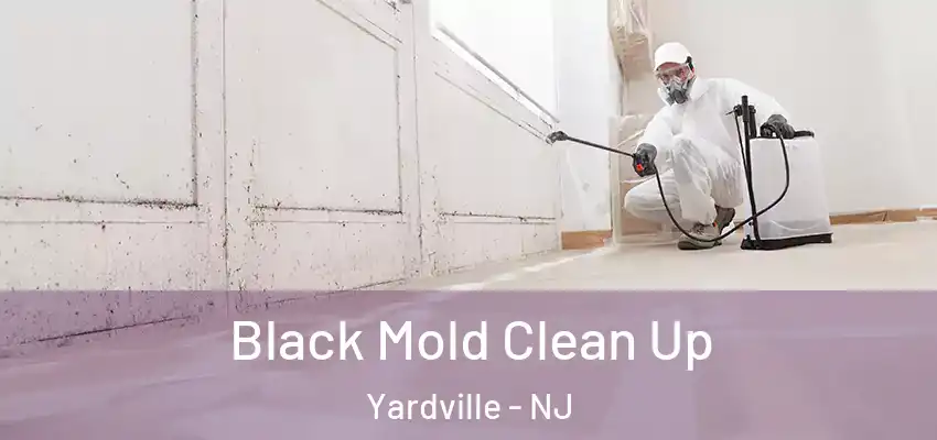  Black Mold Clean Up Yardville - NJ