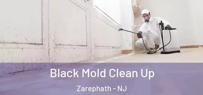 Black Mold Clean Up Zarephath - NJ