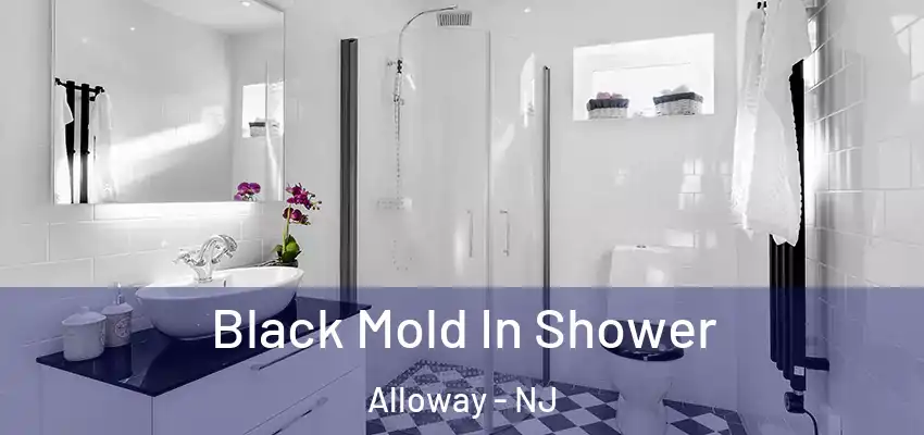 Black Mold In Shower Alloway - NJ