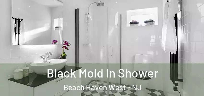 Black Mold In Shower Beach Haven West - NJ