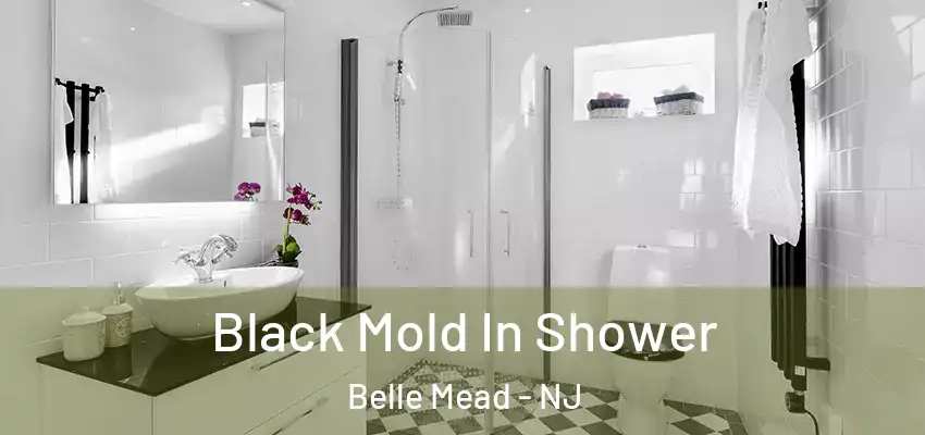 Black Mold In Shower Belle Mead - NJ