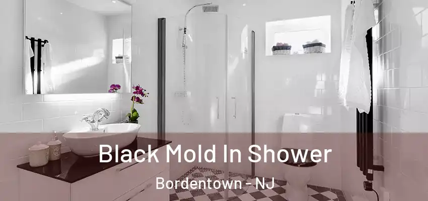 Black Mold In Shower Bordentown - NJ