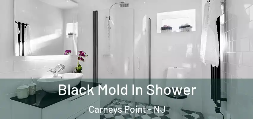 Black Mold In Shower Carneys Point - NJ