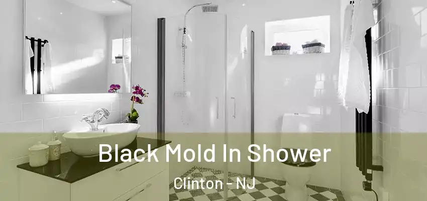  Black Mold In Shower Clinton - NJ