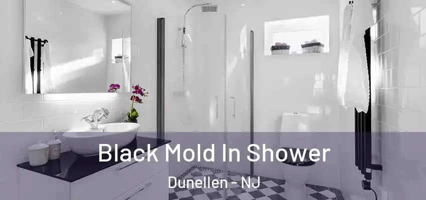  Black Mold In Shower Dunellen - NJ