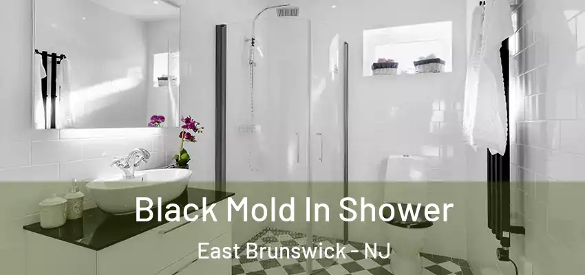 Black Mold In Shower East Brunswick - NJ