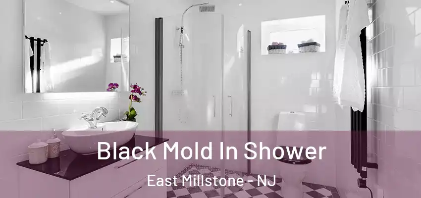 Black Mold In Shower East Millstone - NJ
