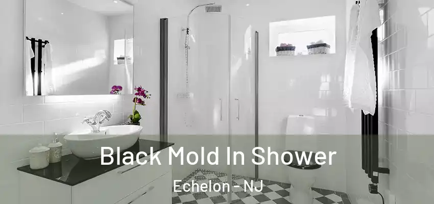 Black Mold In Shower Echelon - NJ