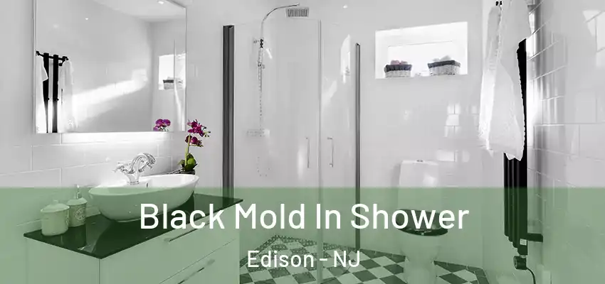  Black Mold In Shower Edison - NJ