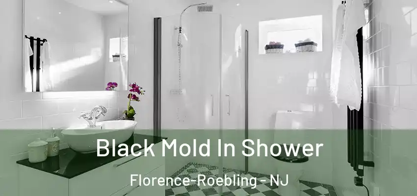 Black Mold In Shower Florence-Roebling - NJ