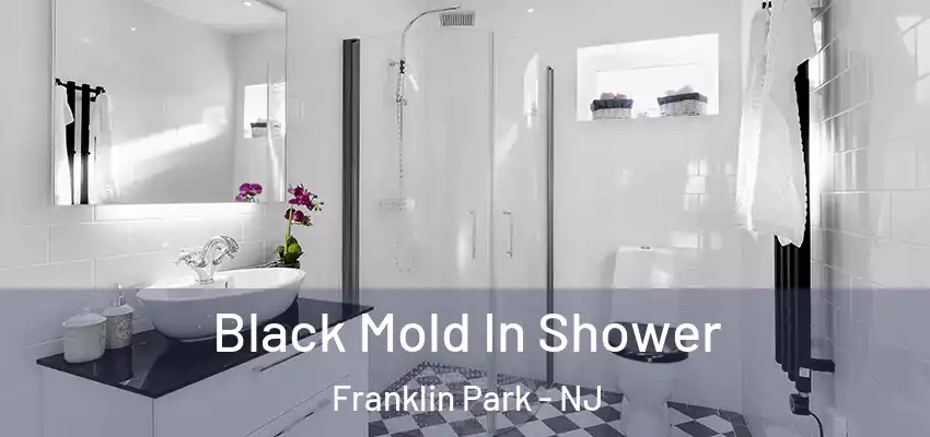 Black Mold In Shower Franklin Park - NJ
