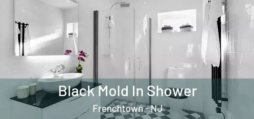 Black Mold In Shower Frenchtown - NJ