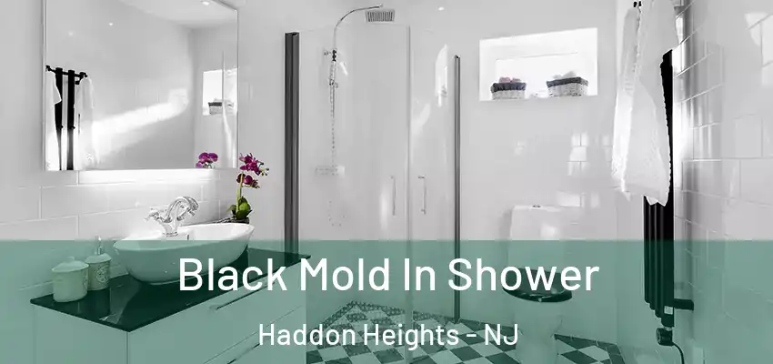 Black Mold In Shower Haddon Heights - NJ