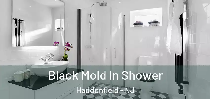  Black Mold In Shower Haddonfield - NJ