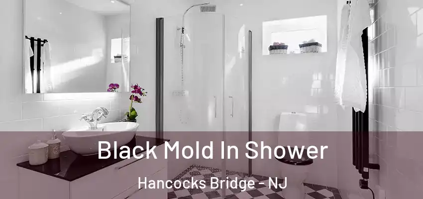  Black Mold In Shower Hancocks Bridge - NJ
