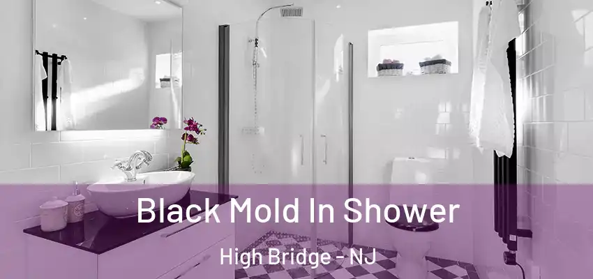  Black Mold In Shower High Bridge - NJ