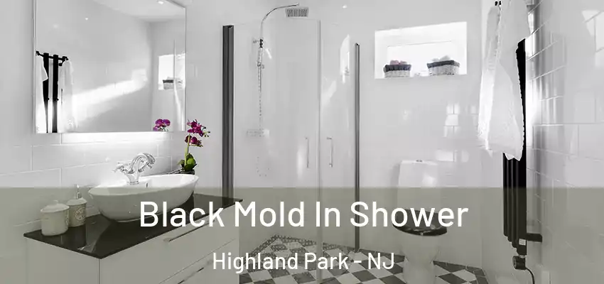  Black Mold In Shower Highland Park - NJ