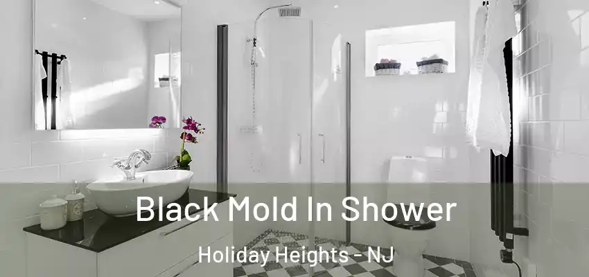  Black Mold In Shower Holiday Heights - NJ