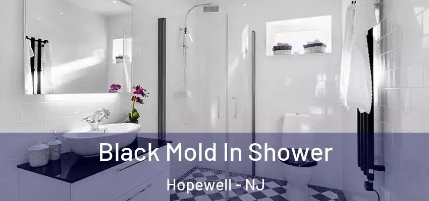 Black Mold In Shower Hopewell - NJ