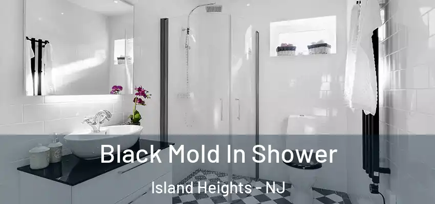  Black Mold In Shower Island Heights - NJ