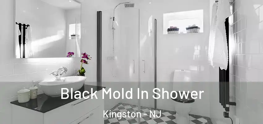  Black Mold In Shower Kingston - NJ