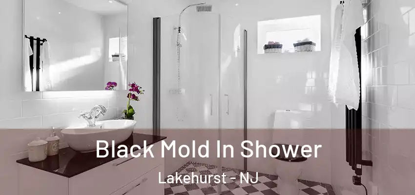  Black Mold In Shower Lakehurst - NJ