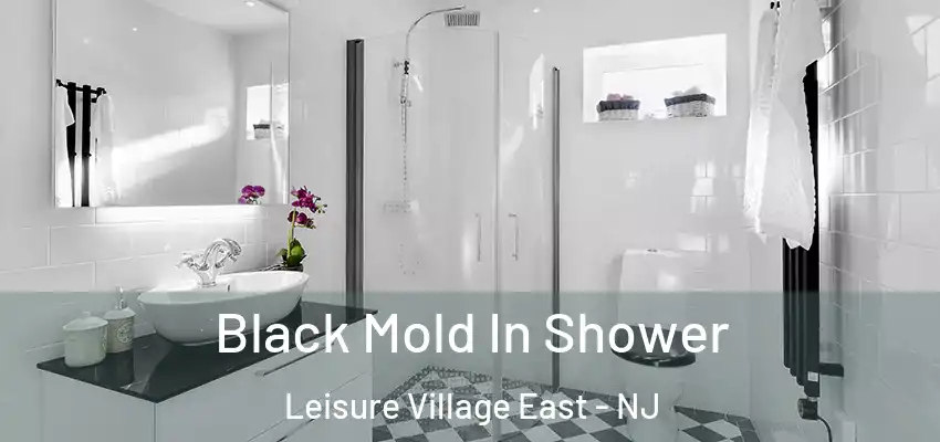  Black Mold In Shower Leisure Village East - NJ