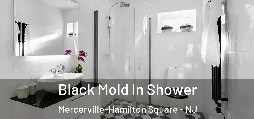 Black Mold In Shower Mercerville-Hamilton Square - NJ