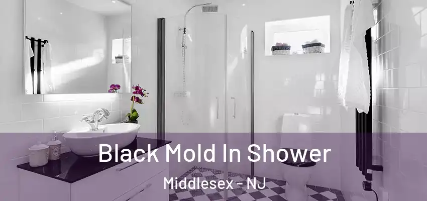  Black Mold In Shower Middlesex - NJ