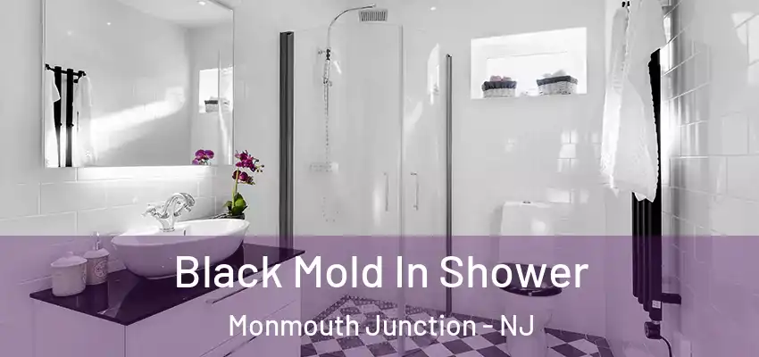  Black Mold In Shower Monmouth Junction - NJ