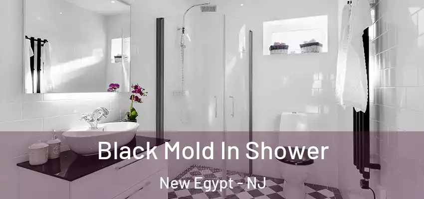 Black Mold In Shower New Egypt - NJ