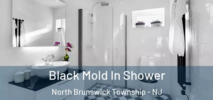 Black Mold In Shower North Brunswick Township - NJ