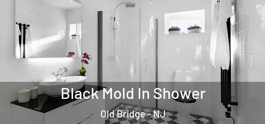  Black Mold In Shower Old Bridge - NJ