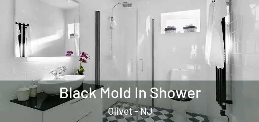  Black Mold In Shower Olivet - NJ