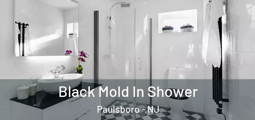 Black Mold In Shower Paulsboro - NJ
