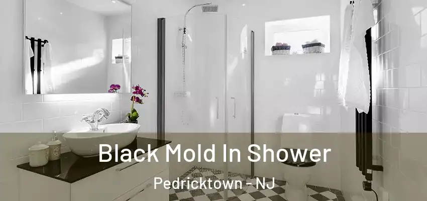  Black Mold In Shower Pedricktown - NJ