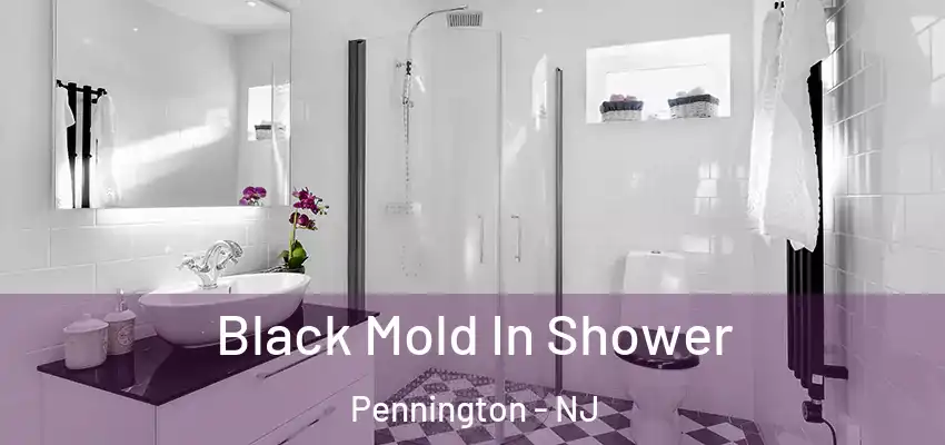  Black Mold In Shower Pennington - NJ