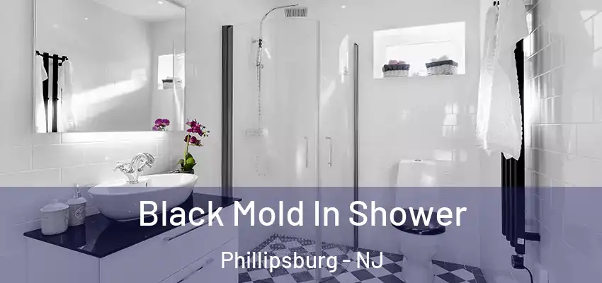  Black Mold In Shower Phillipsburg - NJ