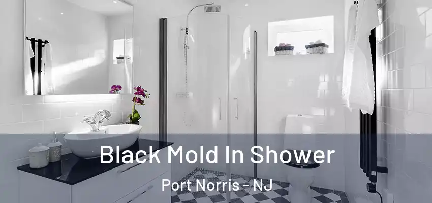  Black Mold In Shower Port Norris - NJ