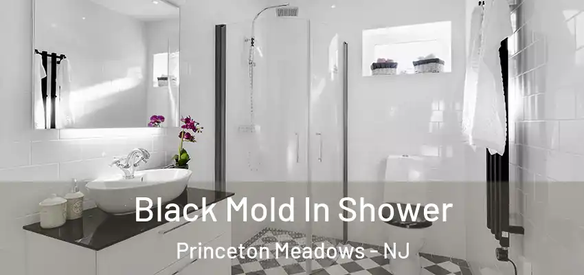  Black Mold In Shower Princeton Meadows - NJ