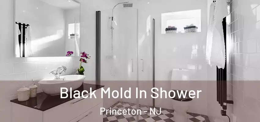  Black Mold In Shower Princeton - NJ