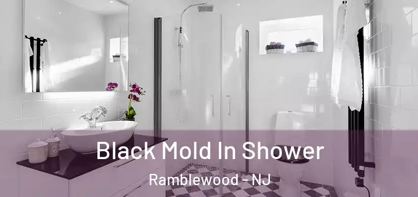 Black Mold In Shower Ramblewood - NJ