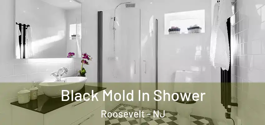  Black Mold In Shower Roosevelt - NJ