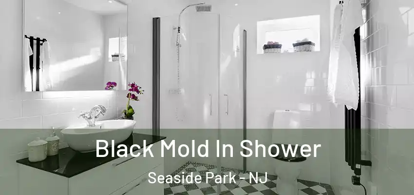  Black Mold In Shower Seaside Park - NJ