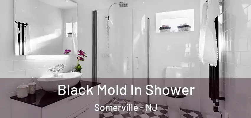  Black Mold In Shower Somerville - NJ