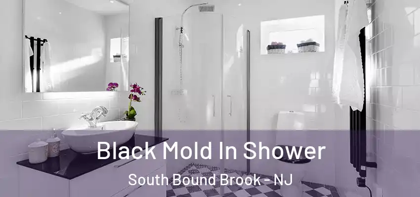  Black Mold In Shower South Bound Brook - NJ