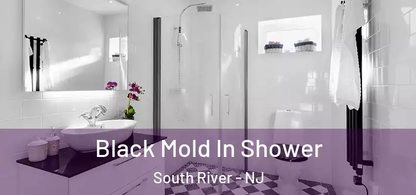  Black Mold In Shower South River - NJ