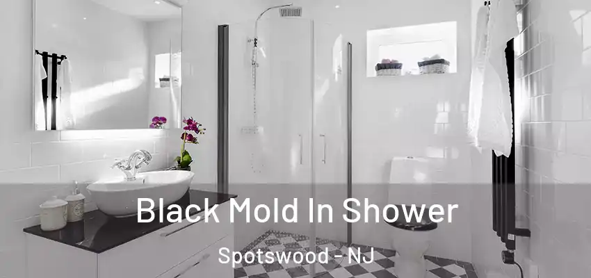  Black Mold In Shower Spotswood - NJ